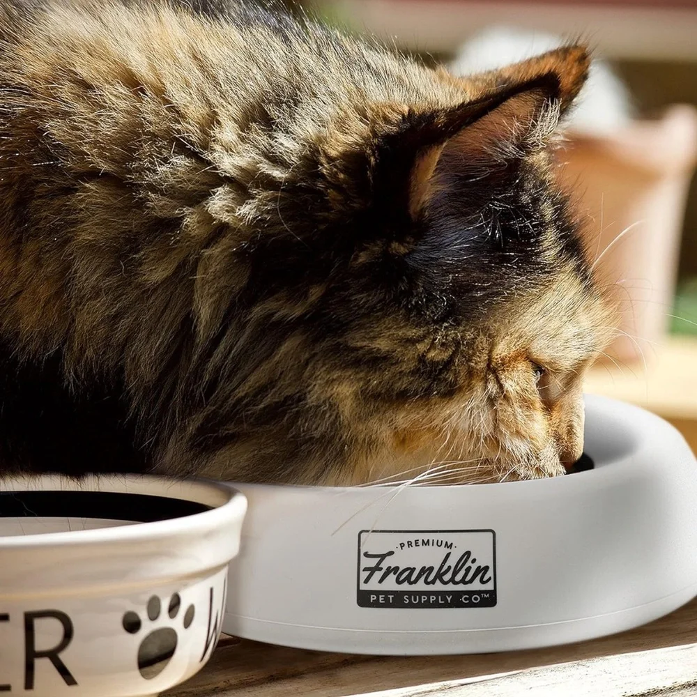 NON-SPLASH Franklin Pet Supply Gray Pet Bowl